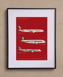 A FlightPortrait frame on a wall