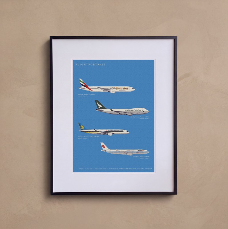 The finished drawing hanging in a framed FlightPortrait
                    on a wall.