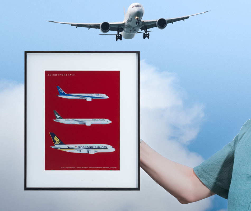 The framed poster those bytes drew, held up under a
                  widebody on approach.