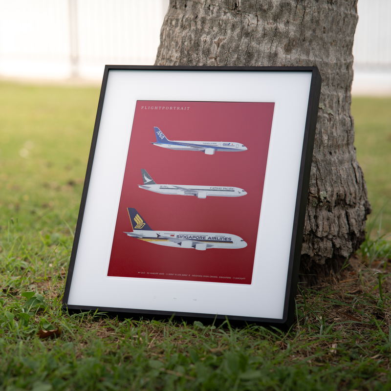 A FlightPortrait drawn on red, standing in the grass against
                a palm trunk: three widebodies over Singapore.